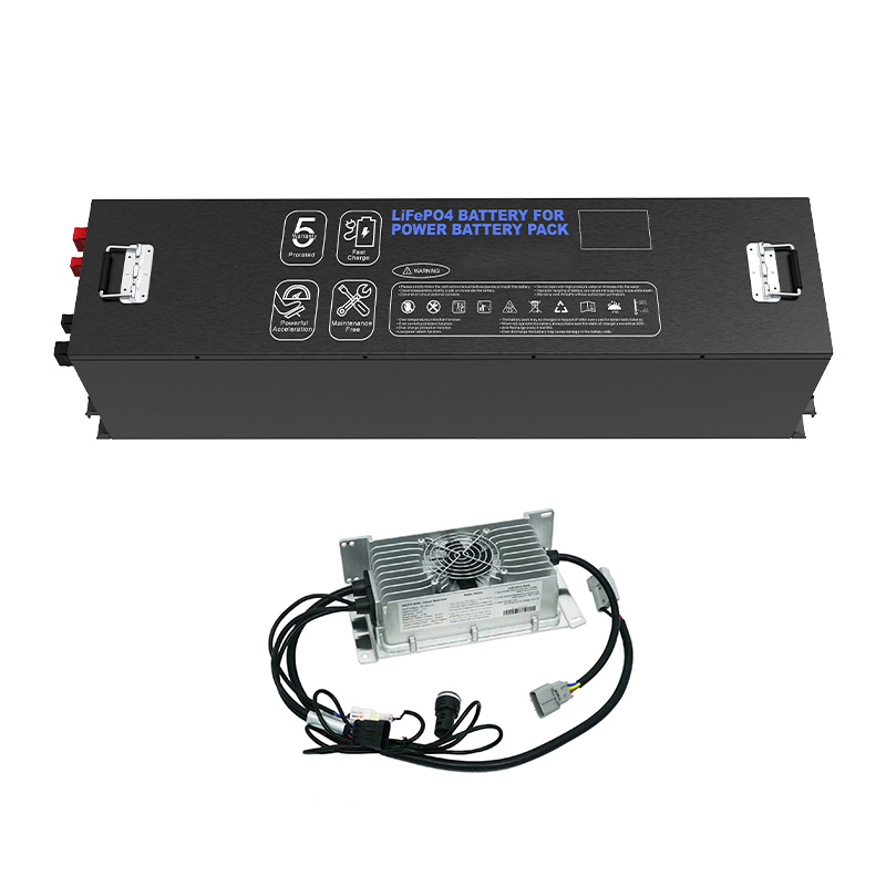 36V 48V 72V LiFePO4 Battery ...